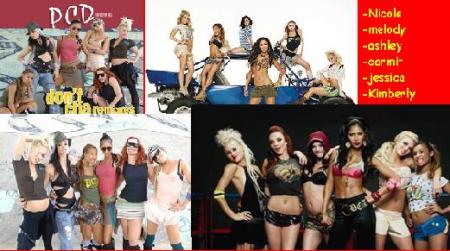 the pussycat dolls
